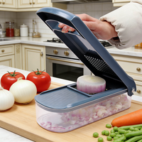 YuShu YS-SQ001 Nieuw Ontwerp 6-in-1 Handmatige Eco-vriendelijke Plastic Multifunctionele Gemakkelijk Reinigbare Groentehakker Aardappelschiller 304