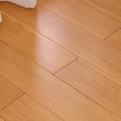 SK Fan longan ล็อคดวงจันทร์สีเหลืองในฤดูใบไม้ร่วง