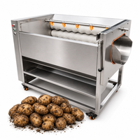 Fabrieksmachine voor het borstelen en reinigen van 304 roestvrijstalen onderdelen, geschikt voor verse pinda's met schaal, jujubes, dadels en Rosa Roxburghii Tratt.