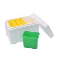 Mini ESP matériel Nuc polystyrène ruche reine abeille accouplement abeille boîte nouvelle condition apiculture Kit de démarrage à vendre