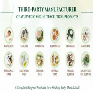 Capsules de Brahmi à base de plantes pures, à ingrédient unique, pour le soutien contre le stress et l'anxiété, capsules de Brahmi naturelles - Product Image 2