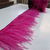 Frange de plumes d'autruche de haute qualité en gros, garnitures en dentelle d'autruche pour vêtements de danse, robes de mariée, décoration haute couture