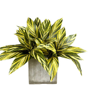 Foglia <span class=keywords><strong>di</strong></span> Banana Artificiale Colorata a 9 Foglie, Albero del <span class=keywords><strong>Sangue</strong></span> <span class=keywords><strong>di</strong></span> Drago Brasiliano, Decorazione Natalizia e del Ringraziamento in Plastica, 51cm, per Interni ed Esterni - Product Image 2