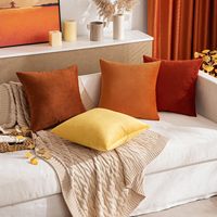 Housse de coussin en velours double face de haute qualité pour l'automne, housse de coussin décorative, housse de coussin orange rouille