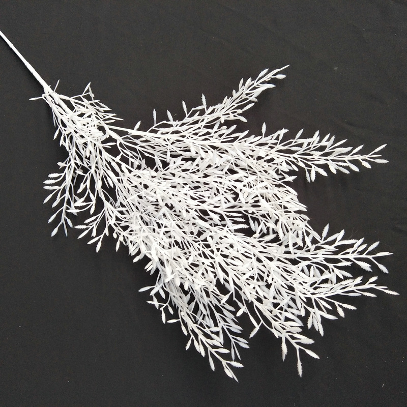 Erba di grano di riso n. 2 bianco