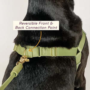 SinSky produttore di imbracature per animali domestici Design personalizzato per cani e collare guinzaglio Set facile da mettere su imbracatura per cani regolabile in Nylon - Product Image 5