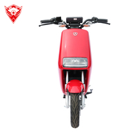 Fábrica al por mayor 1000W 60V Scooter eléctrico Touring Motocicletas