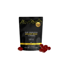 Poudre d'extrait de plante de Shilajit de haute pureté 20%-50% Composés humiques naturels d'acide fulvique 100g/500g/1kg Sac