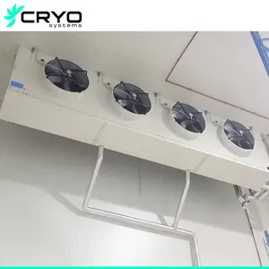 Sistema de câmara fria Refrigerador a frio personalizado com armazenamento de 50 toneladas