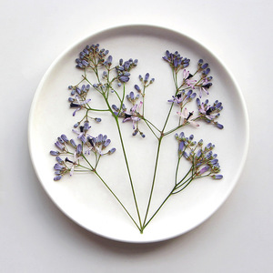 Chinaberry fleur Branches séchées fleur pressée pour résine époxy accessoires bricolage signet cadre Photo feuille Art matériaux - Product Image 3