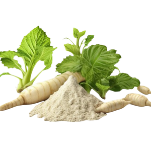 En iyi fiyat Wasabi özü tozu doğal saf Wasabi kök tozu - Product Image 2