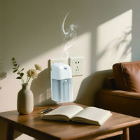 Diffuseur d'arômes nébulisant OEM ODM sans eau, diffuseur d'huiles essentielles pures, logo personnalisé, diffuseur de parfum à air froid, commercial