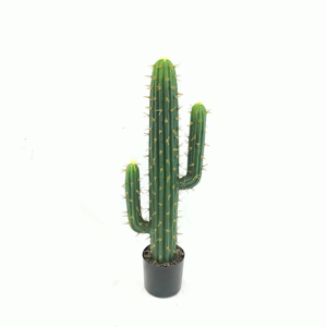 Aménagement paysager et jardinage et décoration de bureau à la maison ou à l'hôtel plante artificielle <span class=keywords><strong>Cactus</strong></span> Cm <span class=keywords><strong>Amazon</strong></span> vente chaude pilier de <span class=keywords><strong>cactus</strong></span> tropical - Product Image 1