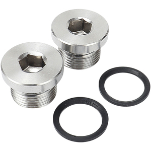 304 thép không gỉ Hex ổ cắm mặt bích cắm với ED seal Ring, Metric BSP chủ đề G1/8 G1/4 G3/8 G1/2 G3/4, ren ống <span class=keywords><strong>End</strong></span> <span class=keywords><strong>Cap</strong></span> - Product Image 3