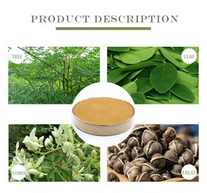 モリンガオレイフェラ種子粉末ハーブエキス - Product Image 5