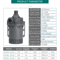 Bomba de agua Zksj de 12V CC Bldc Clean Drive, transferencia de filtro magnético portátil para peces de acuario, categoría de bombas de aceite de cascada limpia