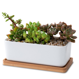 Décor <span class=keywords><strong>à</strong></span> la maison Bonsaï Pots <span class=keywords><strong>Blanc</strong></span> 6.7 Pouces Succulentes Cactus <span class=keywords><strong>Rectangulaire</strong></span> Jardinières En Céramique Avec Plateau En Bambou - Product Image 1