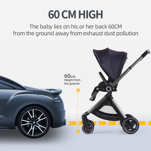 Personnalisation Offre Spéciale <span class=keywords><strong>Poussette</strong></span> pour bébé de luxe de haute qualité <span class=keywords><strong>Poussette</strong></span> 3 <span class=keywords><strong>en</strong></span> 1 Marque Landau Beau prix de gros d'usine - Product Image 6