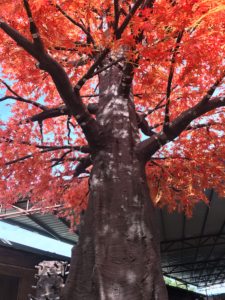 Decorazione naturale 3m autunno acero alberi di seta artificiale, albero di acero giapponese rosso Canada foglie d'oro albero di acero - Product Image 3