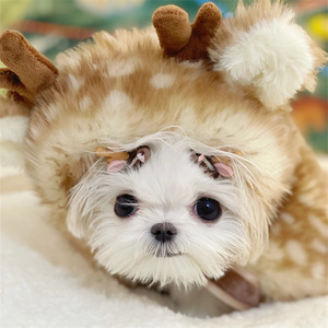 عباءة شتوية دافئة محمولة للحيوانات الأليفة بتصميم غزال كلاسيكي، زي رنة مطبوع للكلاب الصغيرة والمتوسطة، عباءة أيل للكريسماس مع قرون - Product Image 4