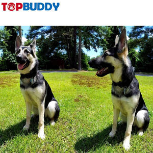 नए क्लासिक टिकाऊ सामान प्लास्टिक क्लैंप पालतू कुत्ते कॉलर पालतू कुत्ते कॉलर पालतू जानवर कॉलर - Product Image 2