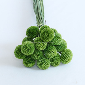 20 Pièces de Fleurs Naturelles Éternelles Colorées et Fraîches, Bouquet de Craspédias Billy Button Dorés pour Décoration de Mariage - Product Image 5