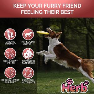 Vitaminas y Oligoelementos para Perros de Marca Privada OEM ODM - Masticables Blandos - Apoyo Inmunológico y Salud Digestiva - Para Todas las Razas y Edades - Product Image 4