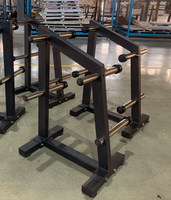 Support de rangement robuste pour plaques de musculation – Organisateur de plaques de poids pour salle de sport commerciale