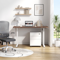 Bureau assis-debout électrique réglable en hauteur, poste de travail PC moderne en métal avec surface extensible