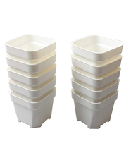 Pot Tanaman Sukulen Plastik PP Tebal Persegi Ramah Lingkungan Putih Hitam Tinggi 12cm Diameter 11cm Modern untuk Meja dan Lantai 93g