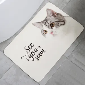 Bắc Âu Hấp Thụ Nhanh Chóng Làm Khô Nhanh Diatomit Trái Đất Chống Trượt Vòi Hoa Sen Mat Diatomite Bath Mat