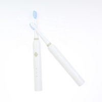 Brosse à dents électrique pour adultes, nettoyage dentaire, prix d'usine, légère, portable, brosses à dents intelligentes