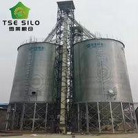Silo à grain en acier à fond trémie personnalisé avec contrôle automatique PLC pour les projets mondiaux de transformation des aliments