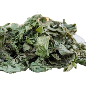 Teh Daun Sirih Kering 100% Murni Alami untuk Minuman