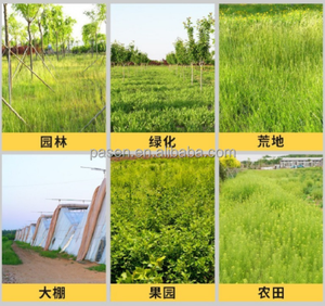 Frantoio Diesel dell'erba della foresta della macchina di <span class=keywords><strong>ritorno</strong></span> dell'erba del giardino della macchina di frantumazione e di <span class=keywords><strong>ritorno</strong></span> della paglia - Product Image 6