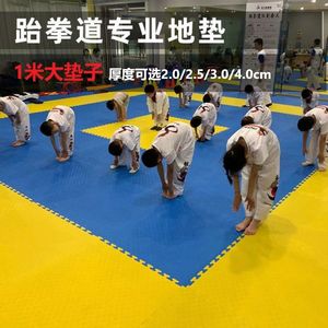 Tapis de sol pour salle de taekwondo, mousse EVA épaisse, carré, antidérapant, pour arts martiaux, entraînement de danse, usage commercial - Product Image 4