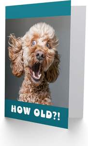 Carte d'anniversaire Artery8, photo de chien Cockapoo surprise, <span class=keywords><strong>blague</strong></span> amusante et coquine, carte de vœux d'animal, fabriquée en Chine - Product Image 2