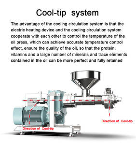 Prensa de aceite en frío utilizada para extraer aceite de coco/Aceite de Oliva/aceite de aguacate - Product Image 2