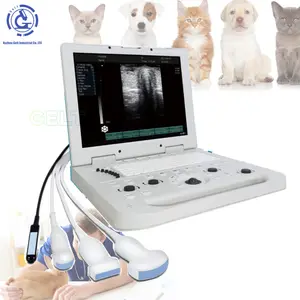 Full Digital Horse pigs pregnancy test ultrasound pet ultrasound scan machine for veterinary animals