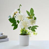 Tanaman Dahlia Buatan dalam Pot, Bunga Dahlia Palsu Bonsai, Dahlia Tiruan dalam Pot Silinder Putih untuk Meja Rumah Dalam Ruangan