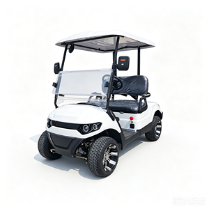 Carrito de Golf Eléctrico de Dos Plazas Personalizable 2026 con Motor de 3500W-7500W y Batería de Litio, Personaliza Cada Detalle para tu Viaje - Product Image 1