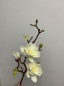 Flores Artificiales de Magnolia de Alta Calidad, Tallos de Magnolia Blancos de <span class=keywords><strong>EVA</strong></span>, Arreglo Floral para Centro de Mesa, Decoración Interior del Hogar - Product Image 5