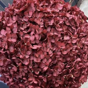 Vente d'usine : <span class=keywords><strong>Fleurs</strong></span> d'<span class=keywords><strong>hortensia</strong></span> vert foncé <span class=keywords><strong>stabilisées</strong></span>, faites à la main, au toucher réel, préservées pour la décoration intérieure, longue durée (3-5 ans) - Product Image 6
