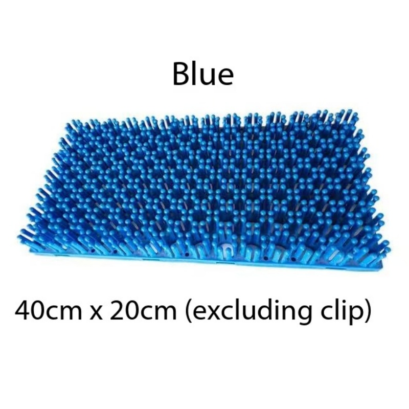 Bleu