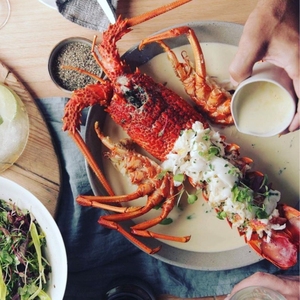 Langosta Espinosa entera langosta de roca congelada cabeza de langosta congelada salvaje en cola de langosta tropical langosta entera congelada tamaño de exportación - Product Image 5