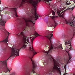 Cebollas Rojas Pequeñas de Yunnan, Calidad Premium, Nueva Cosecha, Aroma Dulce Fresco, Tamaños de 3-5 cm, Empaque en Bolsas de 10 kg/20 kg, Venta al por Mayor de Fábrica - Product Image 2