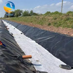 Géomembrane HDPE 1 mm d'épaisseur anti-UV pour la réparation des bassins piscicoles et le revêtement de surfaces irrégulières - Product Image 5