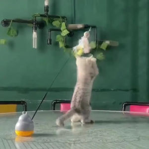 新しいトトロ360度回転は、キャットスティックスチールロッドの小さな魚のヘッドバンドベルキャットトイをからかいます。 - Product Image 3