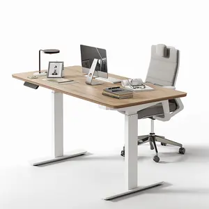 Professional Stable Lifting Desk Home PC Table Gaming Table Height Adjustable Desk Computer Electric Sit Standing Desk