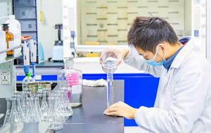 Hạt Vỏ Chanh Đông Khô Cấp Thực Phẩm Tự Nhiên 100% Cung Cấp Từ Nhà Máy - Product Image 4